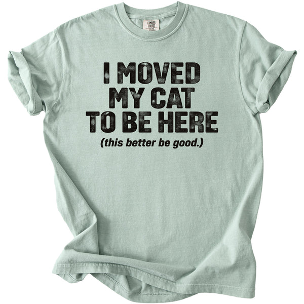Light mint t-shirt with black text "I moved my cat to be here (this better be good.)"