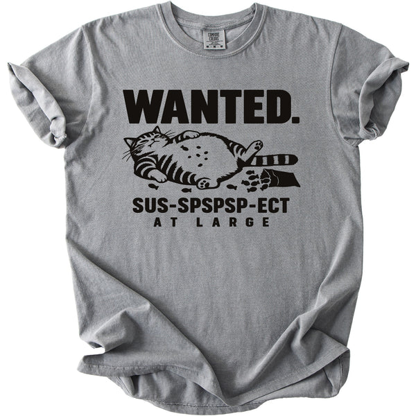 Gray t-shirt with black text and a graphic of a cat and fish.