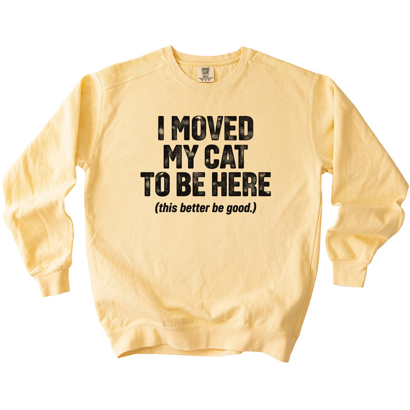 Moved My Cat Sweatshirt - Rogue Cat Club