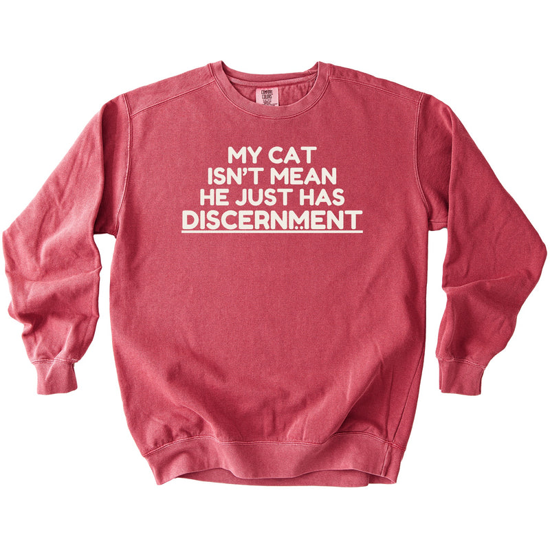 Discernment Sweatshirt - Rogue Cat Club