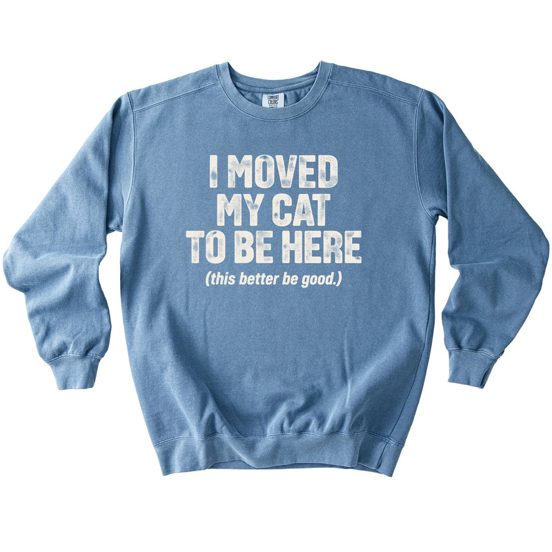 Moved My Cat Sweatshirt - Rogue Cat Club