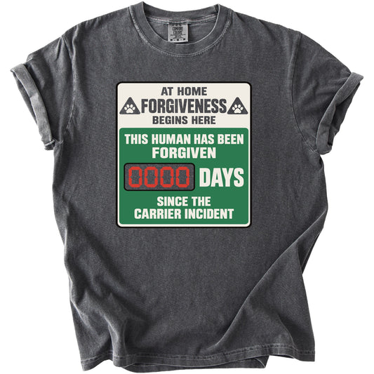 Dark grey t-shirt with "At Home Forgiveness Begins Here" and a 0000 days counter.