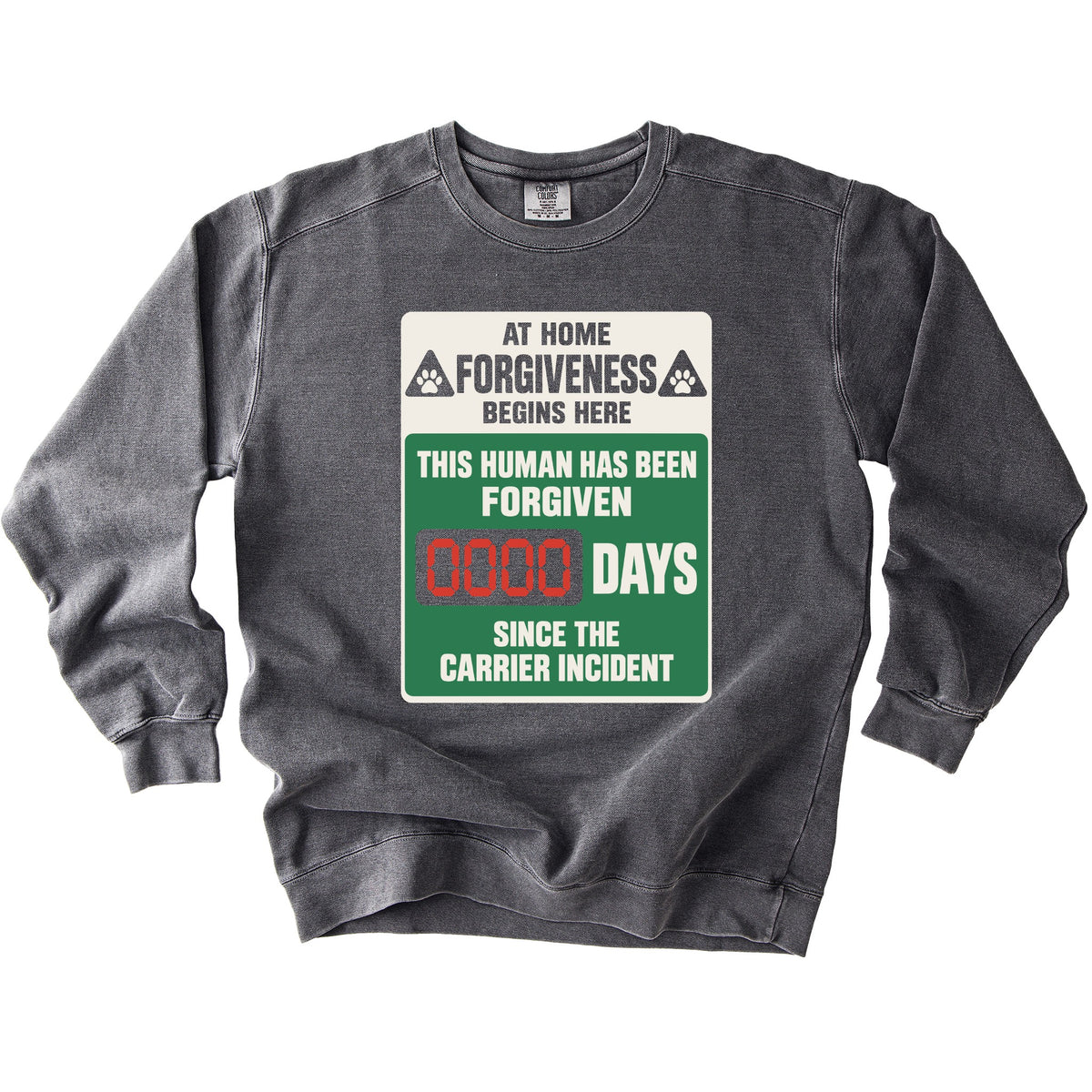 0000 Days Since Sweatshirt - Rogue Cat Club