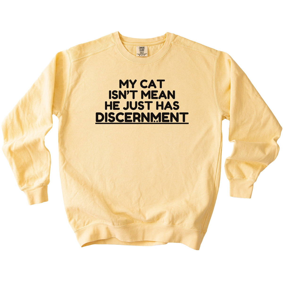 Discernment Sweatshirt - Rogue Cat Club