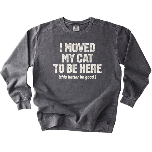 Moved My Cat Sweatshirt - Rogue Cat Club
