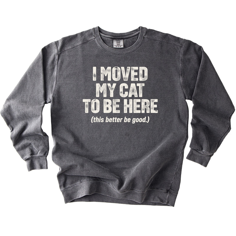 Moved My Cat Sweatshirt - Rogue Cat Club