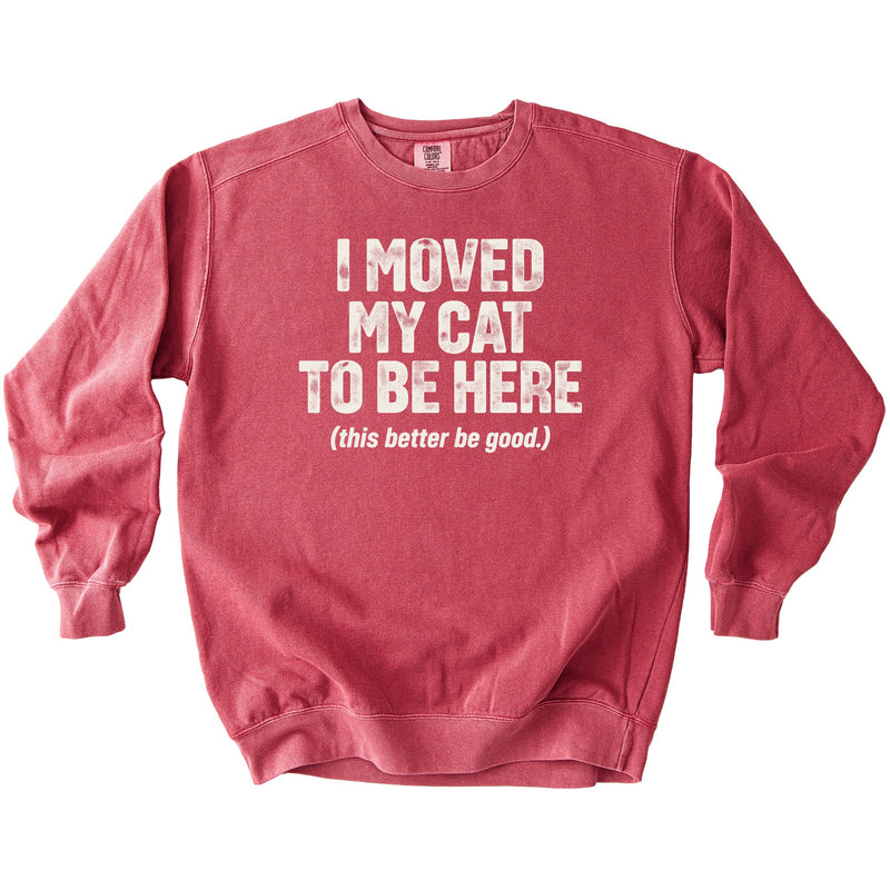 Moved My Cat Sweatshirt - Rogue Cat Club