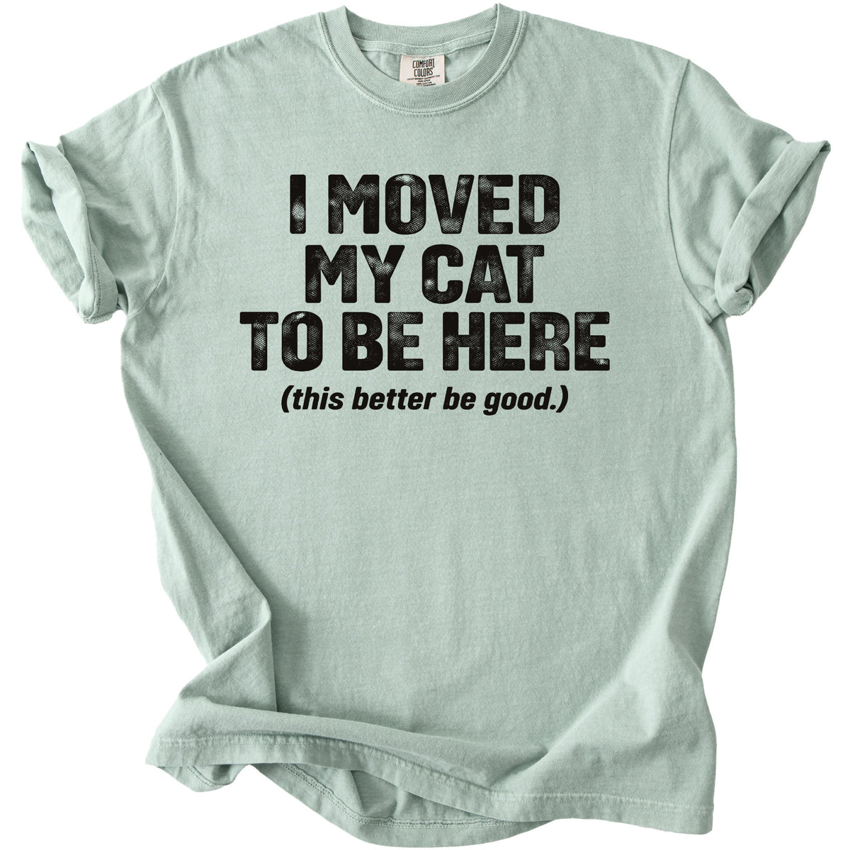 Light mint t-shirt with black text "I moved my cat to be here (this better be good.)"