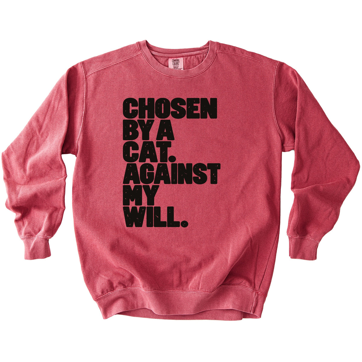 Against My Will Sweatshirt - Rogue Cat Club