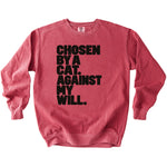 Against My Will Sweatshirt - Rogue Cat Club