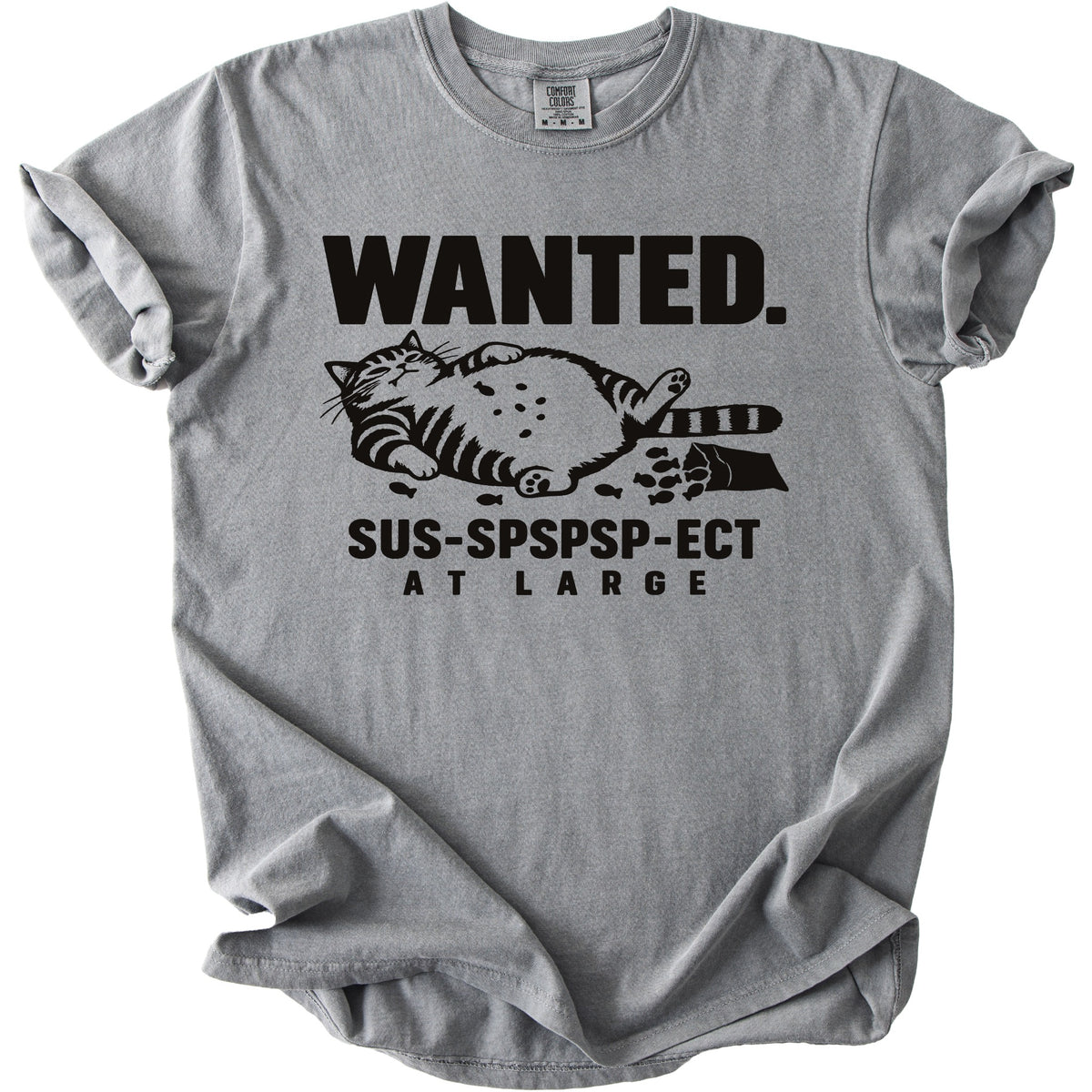 Gray t-shirt with black text and a graphic of a cat and fish.
