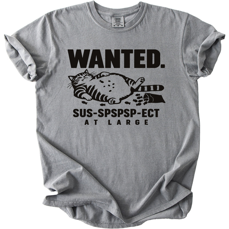 Gray t-shirt with black text and a graphic of a cat and fish.