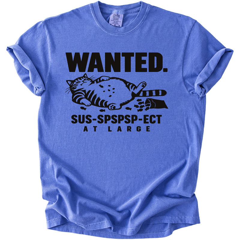 Blue t-shirt with "WANTED. SUS-SPSPSP-ECT AT LARGE" and a cat graphic.
