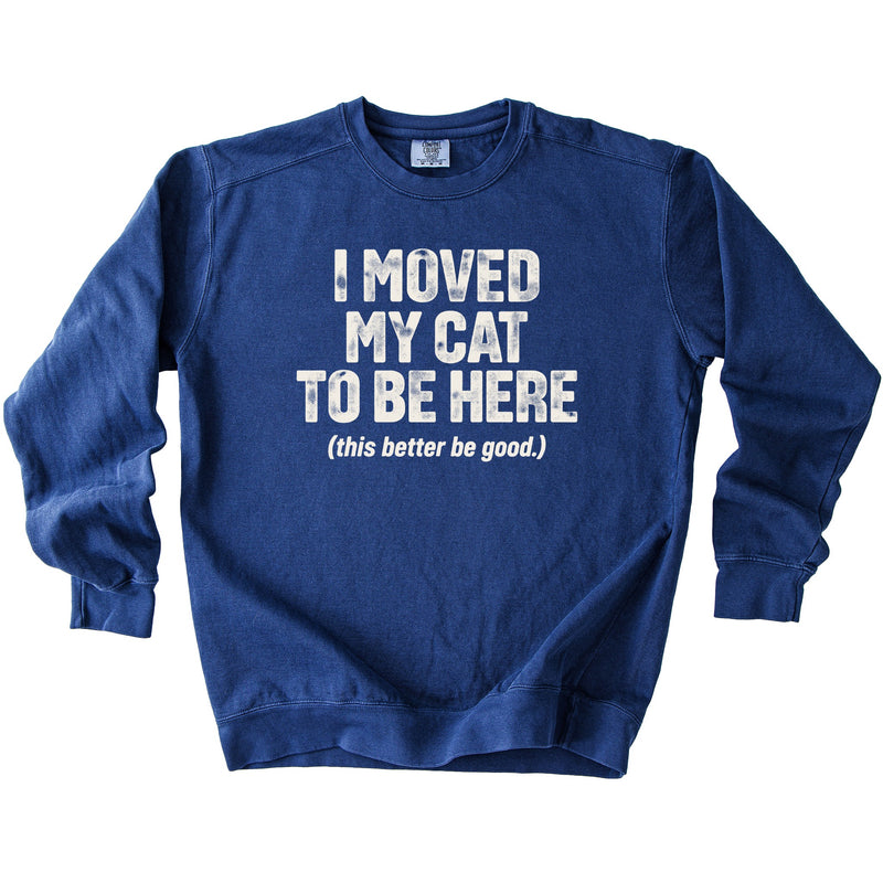 Moved My Cat Sweatshirt - Rogue Cat Club