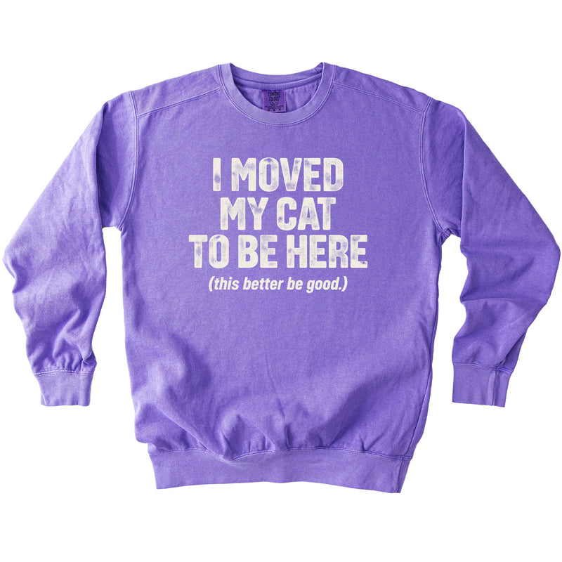 Moved My Cat Sweatshirt - Rogue Cat Club