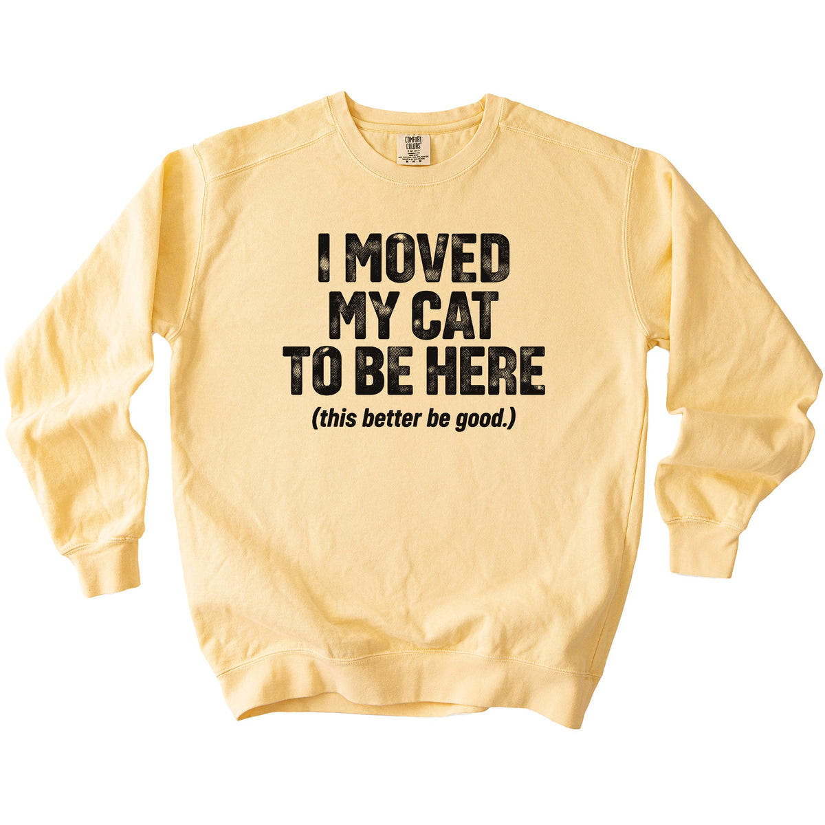 Moved My Cat Sweatshirt - Rogue Cat Club