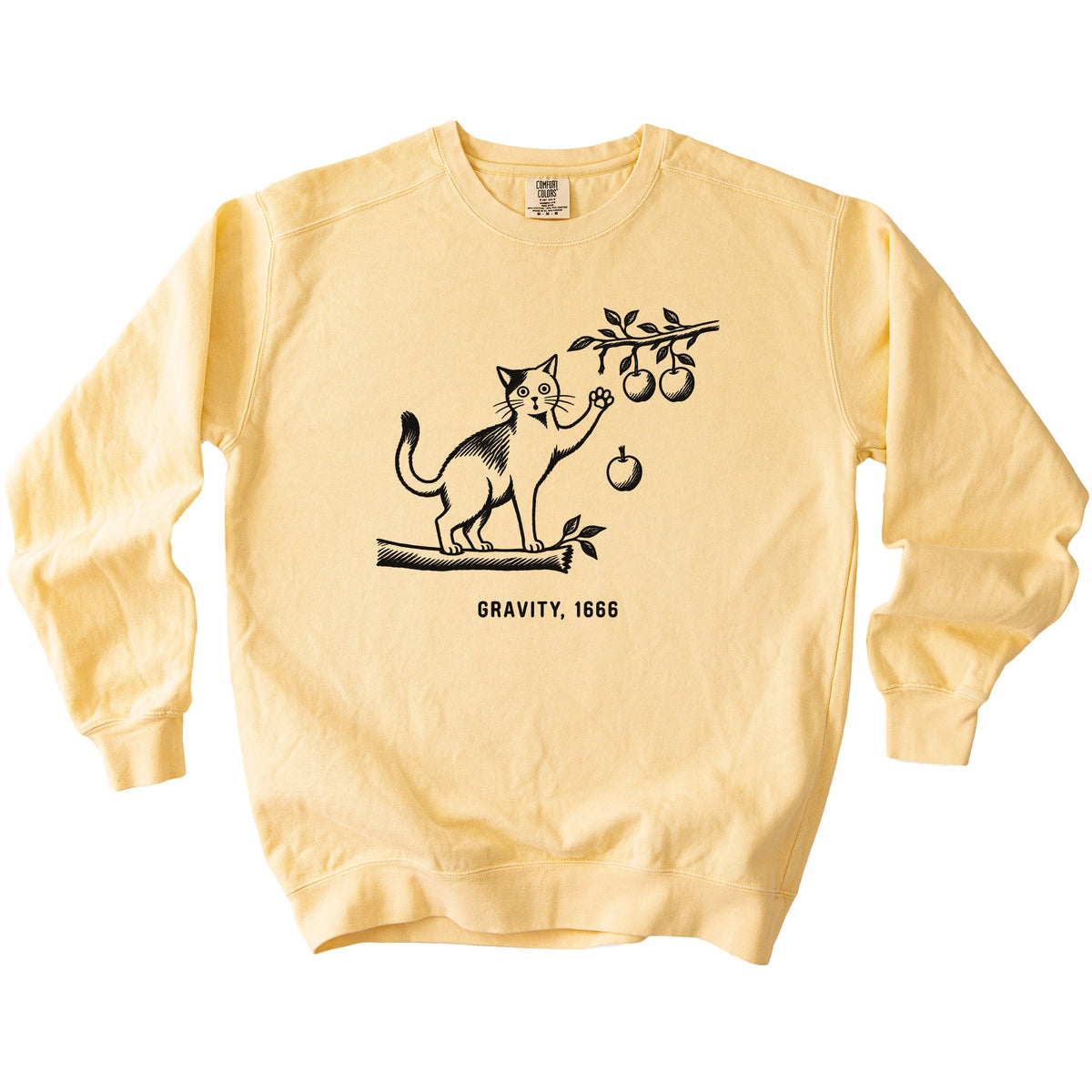 Newton Cat Sweatshirt - Rogue Cat Club