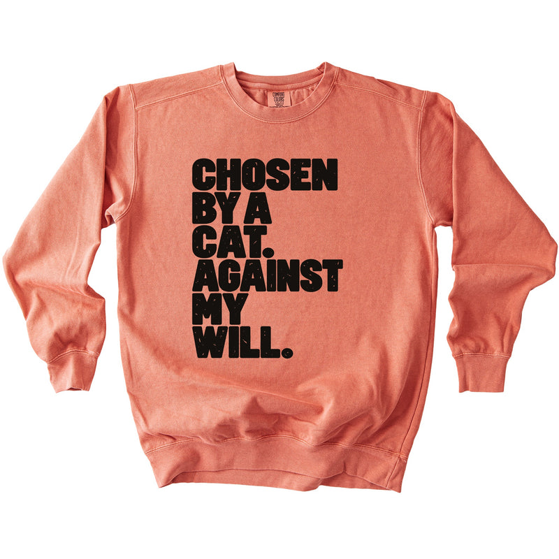 Against My Will Sweatshirt - Rogue Cat Club
