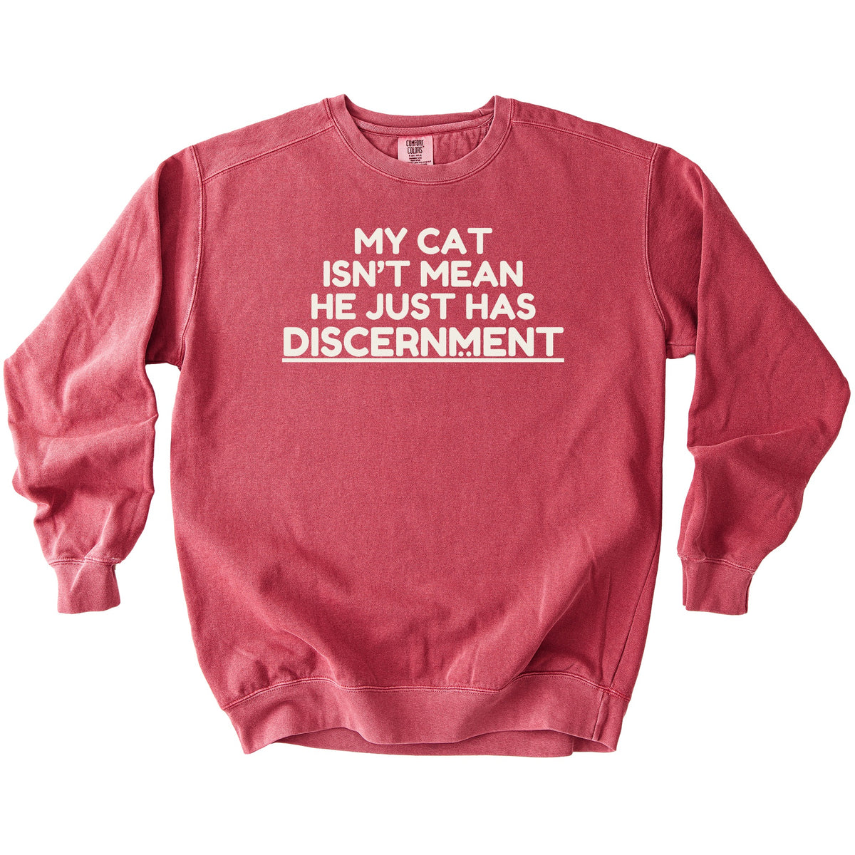 Discernment Sweatshirt - Rogue Cat Club